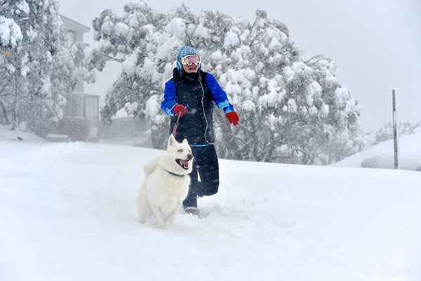 Click to enlarge SNOW