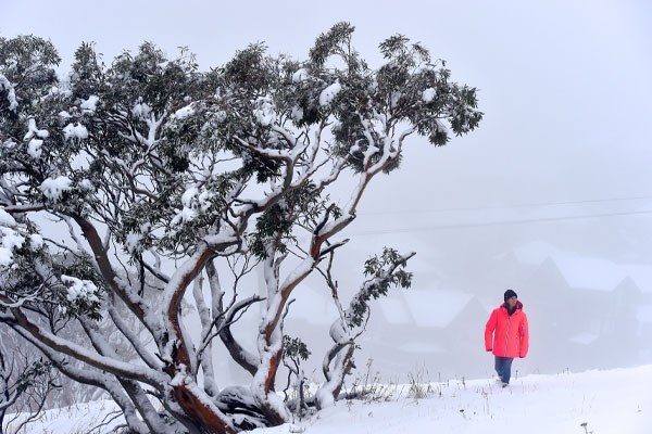 Click to enlarge SNOW