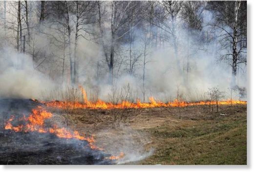 siberia fire