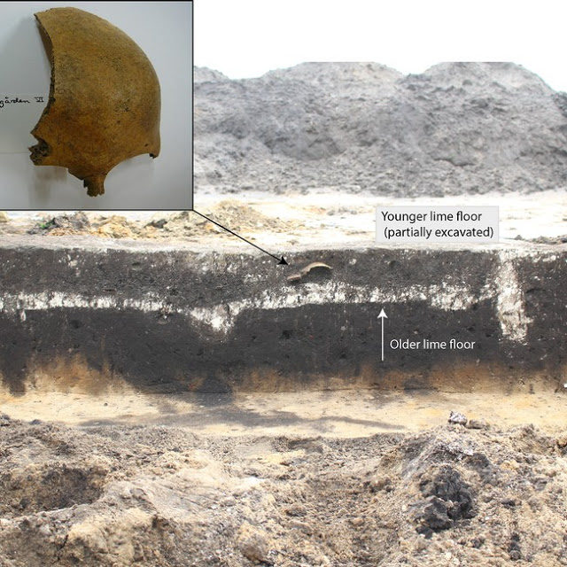 Click to enlarge skull