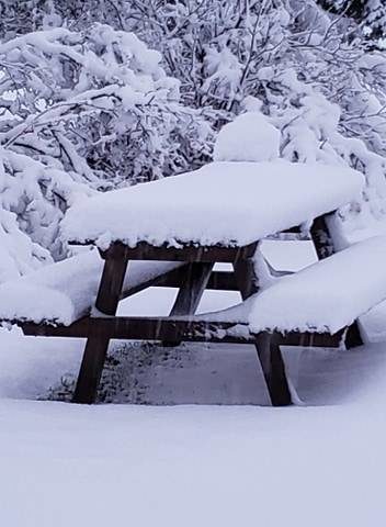 Click to enlarge A shot of May snow taken near the hamlet of Wildwood, Alta., on Monday May 4.