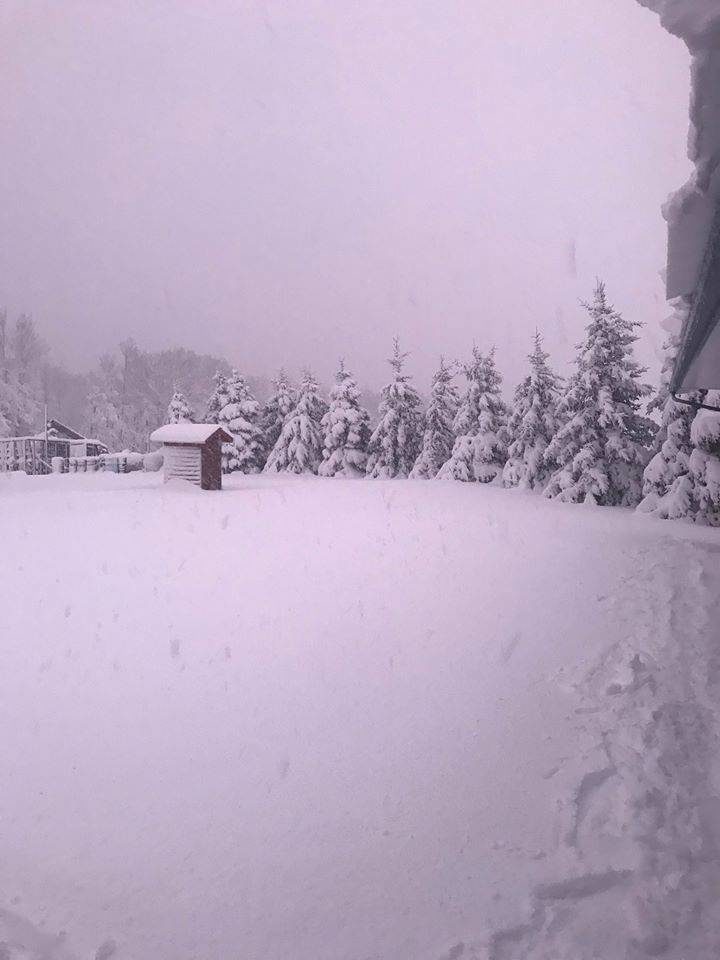 A shot of snowfall near Mackay, Alta., taken Monday, May 4, 2020.