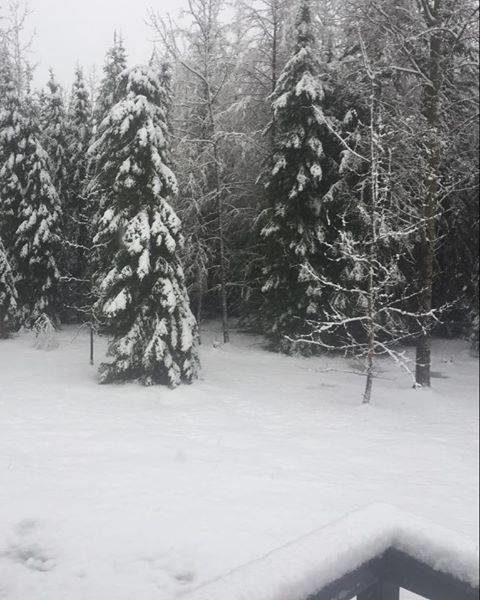 Click to enlarge A shot taken Monday, May 4, 2020, near Edson, Alta.