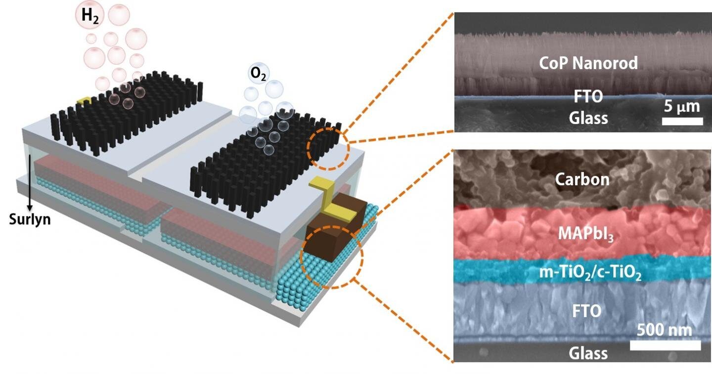 Click to enlarge artificial leaf water splitting fuel source