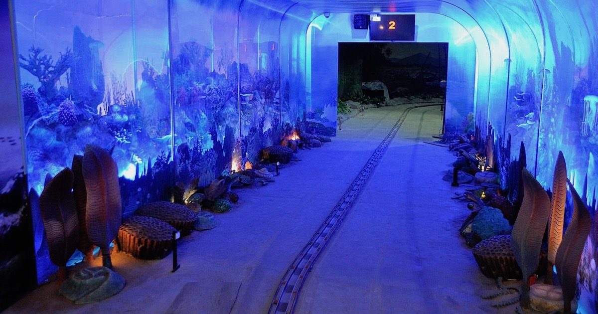 “Origin of Life” ride