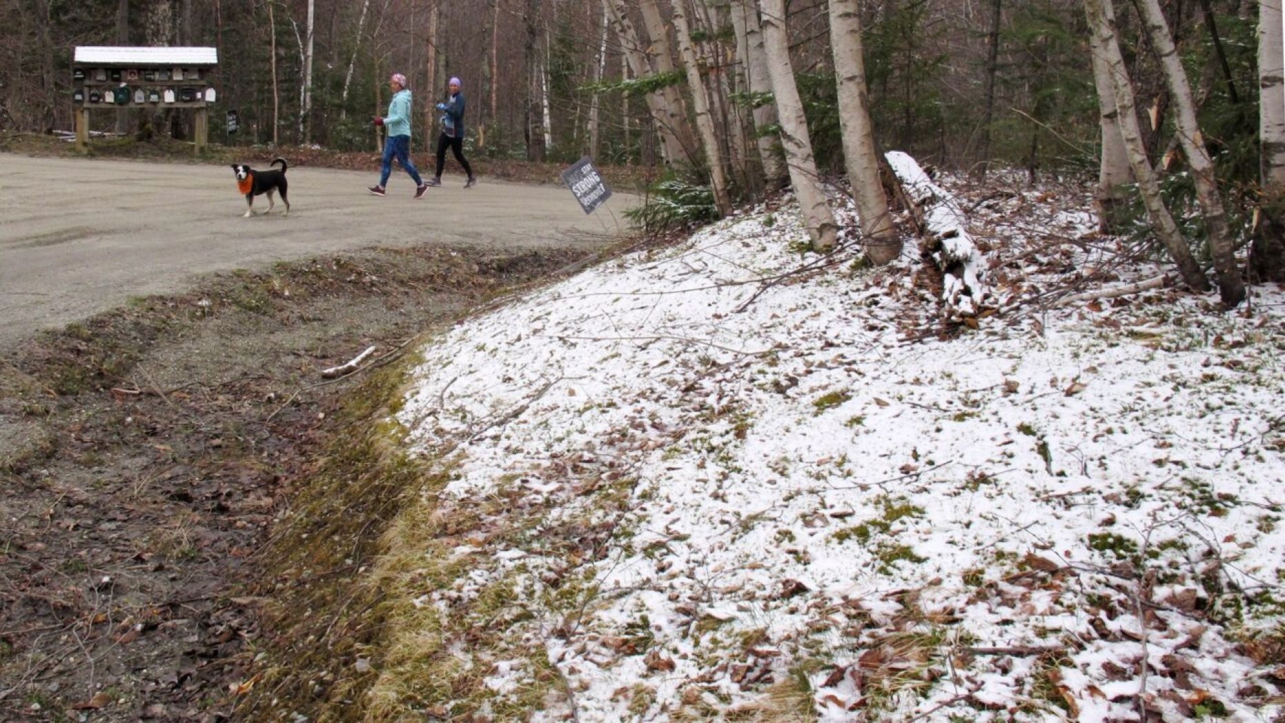 A dusting of snow covers a hillside in Stowe, Vt., on Tuesday May 5, 2020.