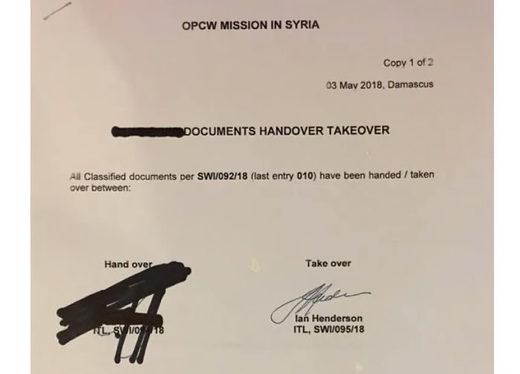 Click to enlarge OPCW page