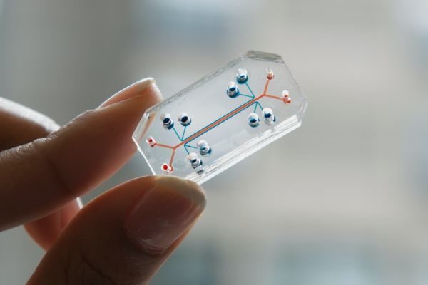 Click to enlarge long on chip