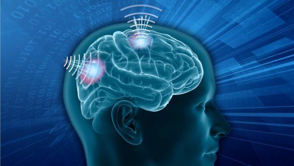 Click to enlarge neurotechnology darpa
