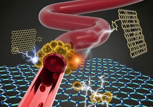 Click to enlarge nanoplatform darpa