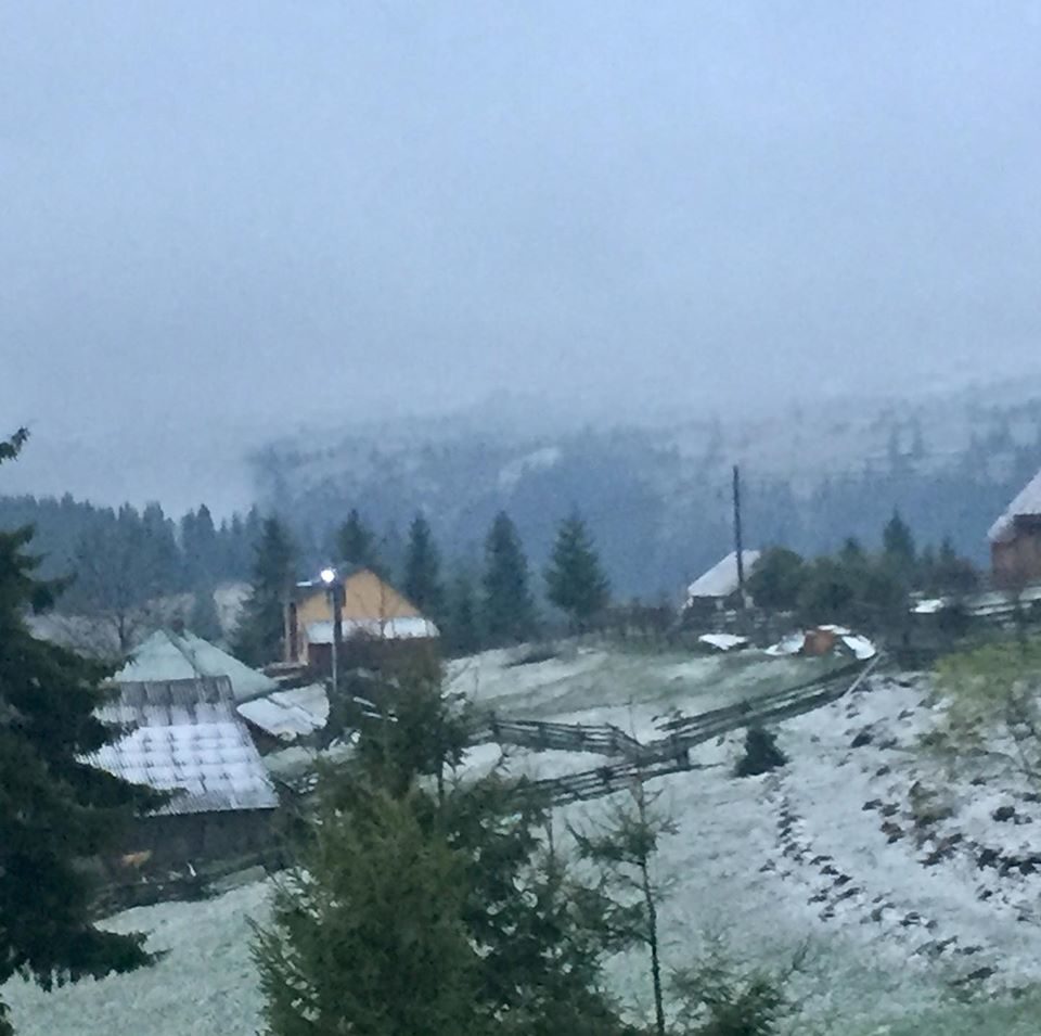 Click to enlarge snow