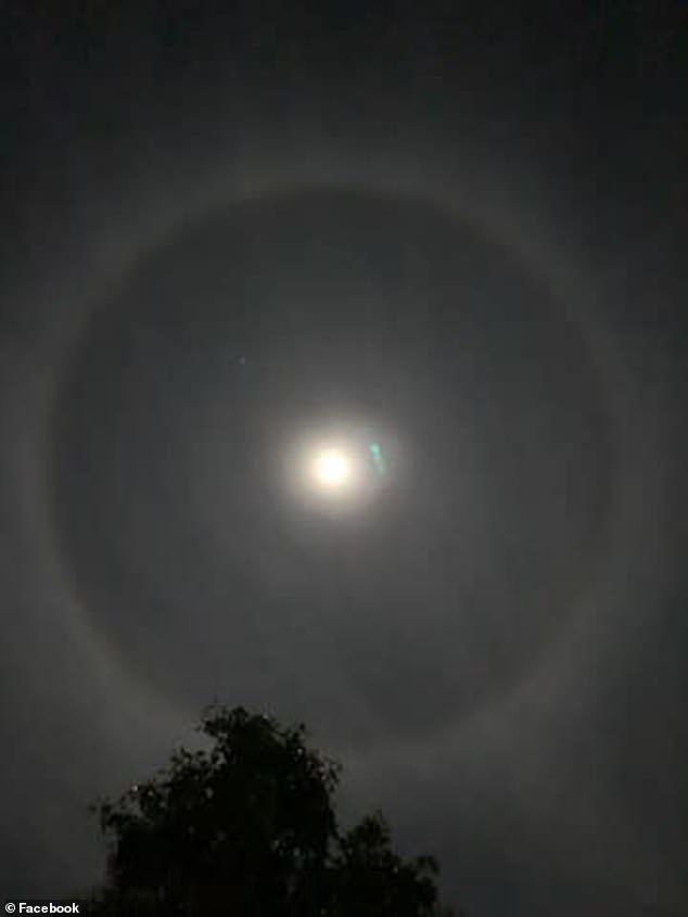 Click to enlarge Moon halo Callala Beach, NSW