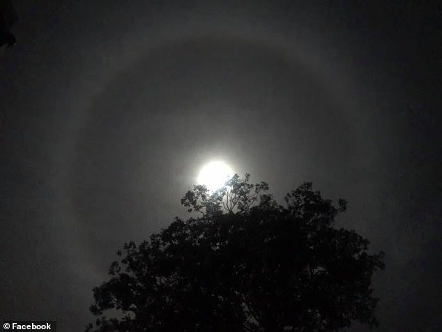 Click to enlarge Moon halo Woonona