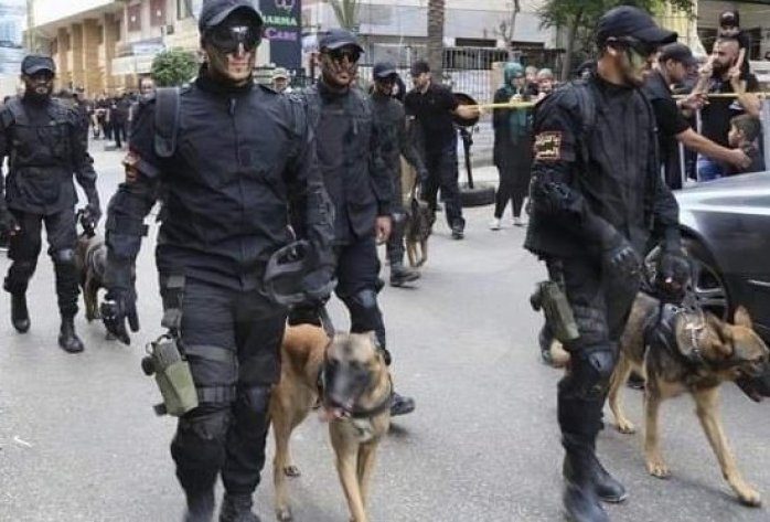 IDF military dogs