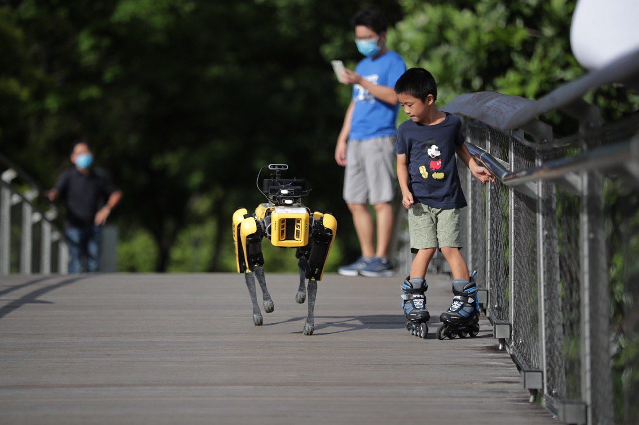 Obey! Robot 'dog' fitted with cameras to patrol Singapore parks to