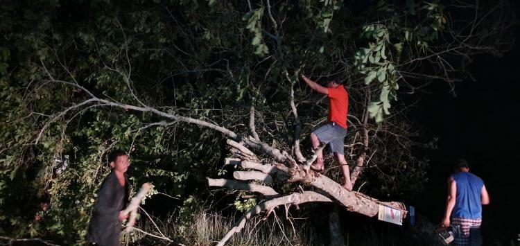Click to enlarge STORM