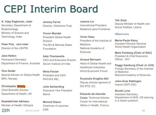 cepi interim board