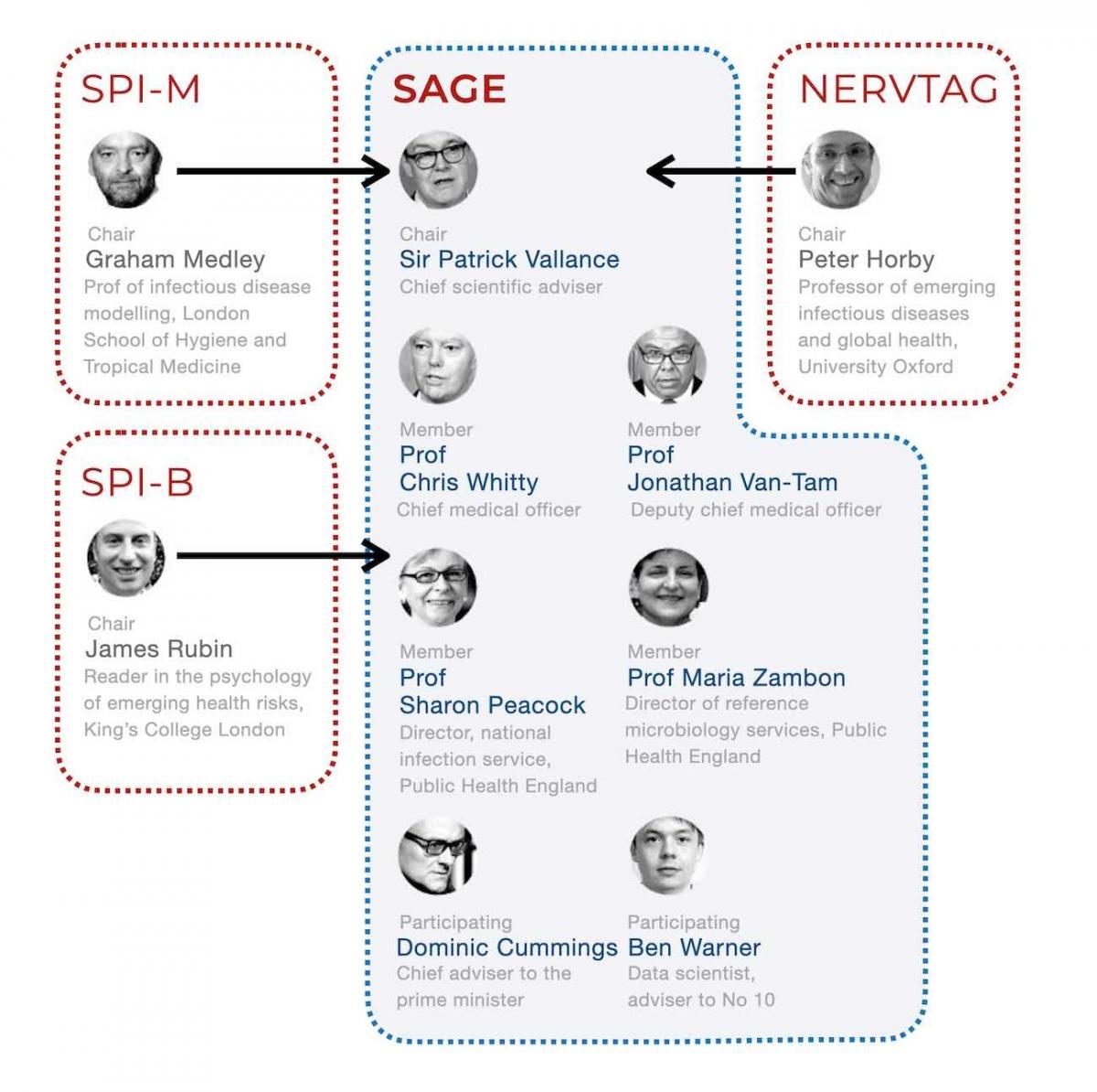 Click to enlarge sage