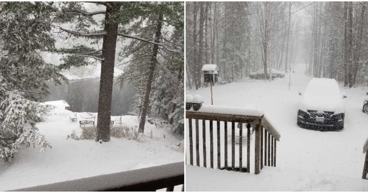 Ontario Woke Up A Massive Heap Of Snow