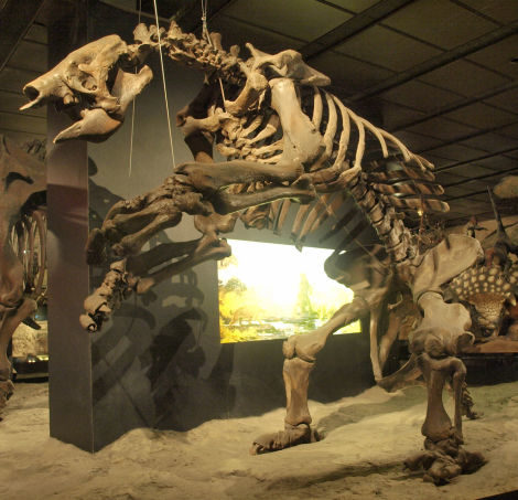 Click to enlarge Eremotherium