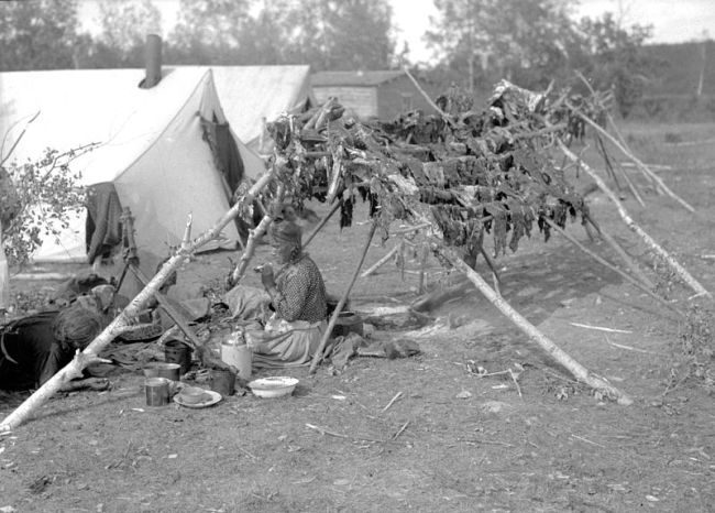 Cree Woman drying meat