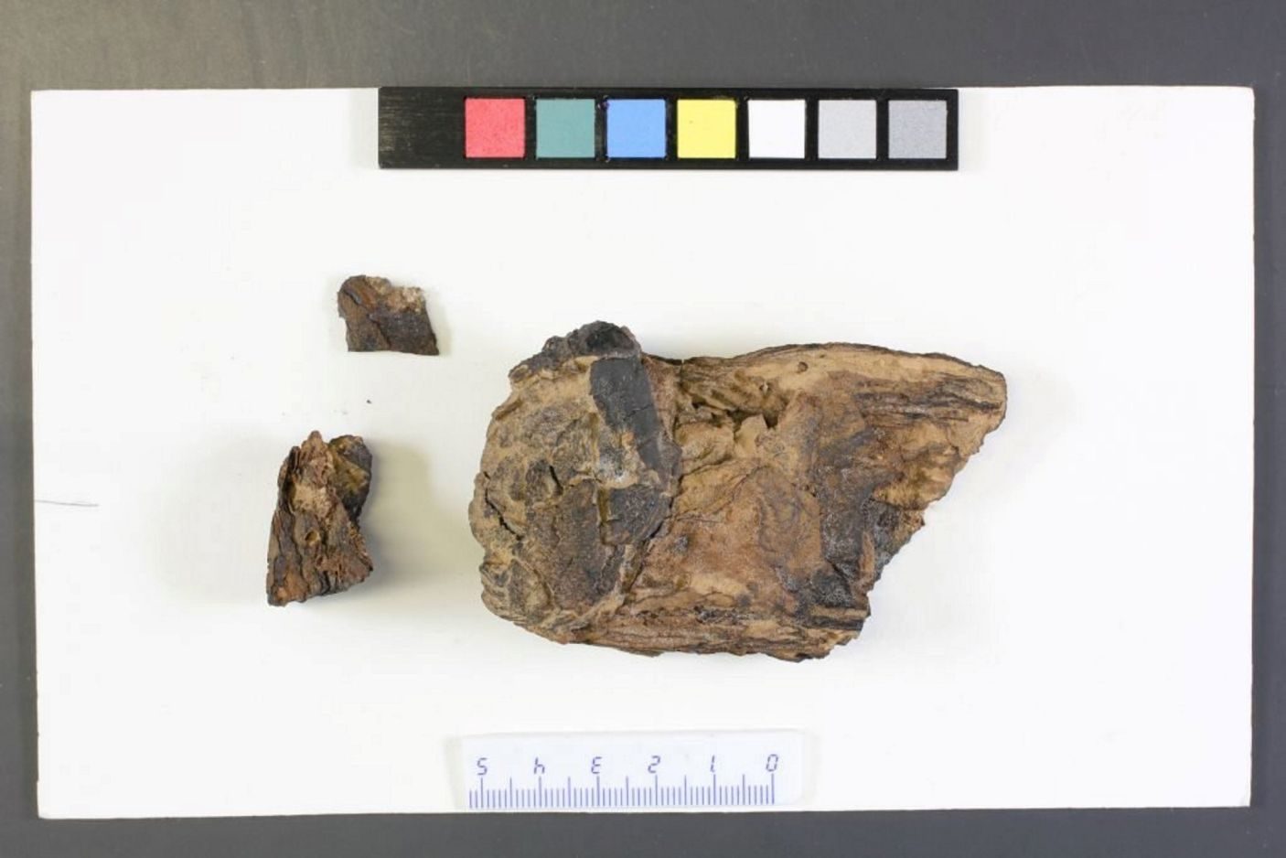 Click to enlarge Dead Sea scrolls