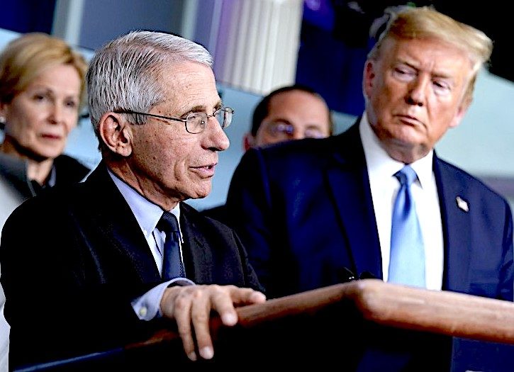 Click to enlarge TrumpFauci