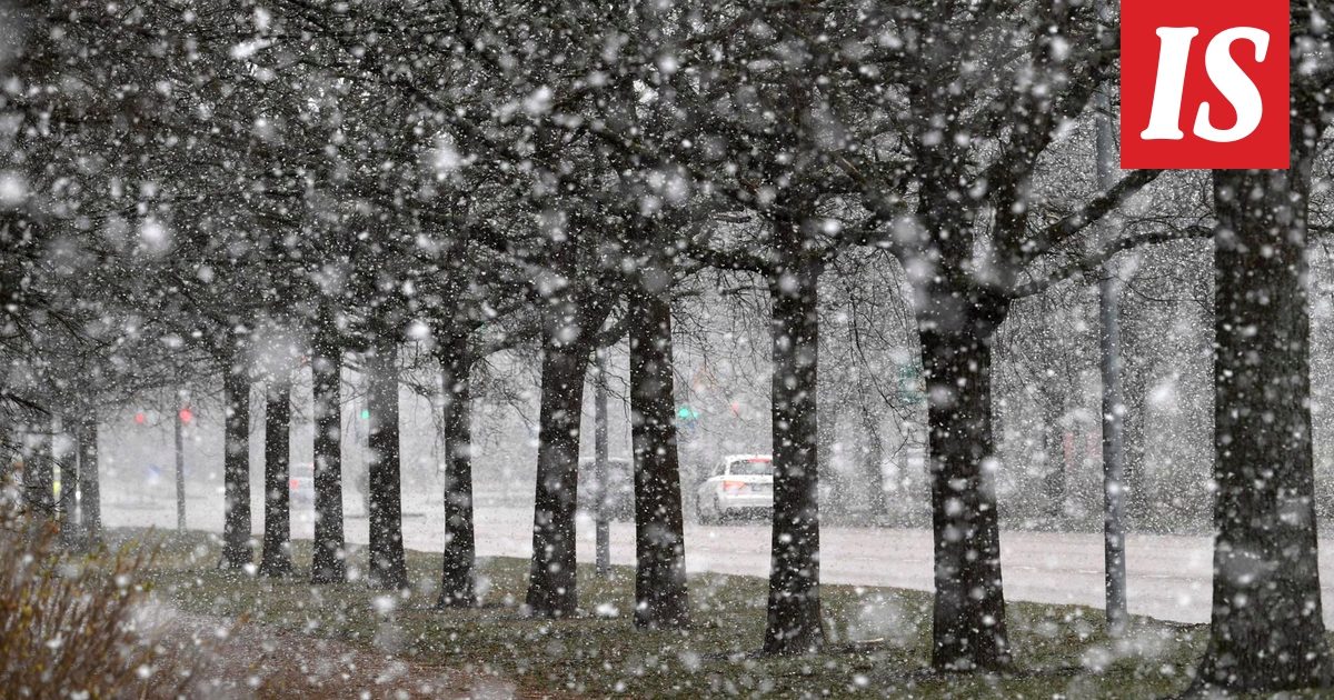 snow