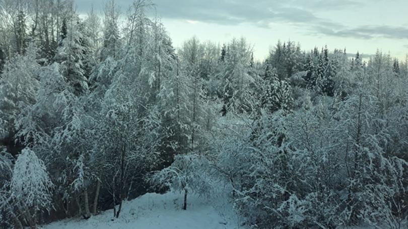 Click to enlarge snow