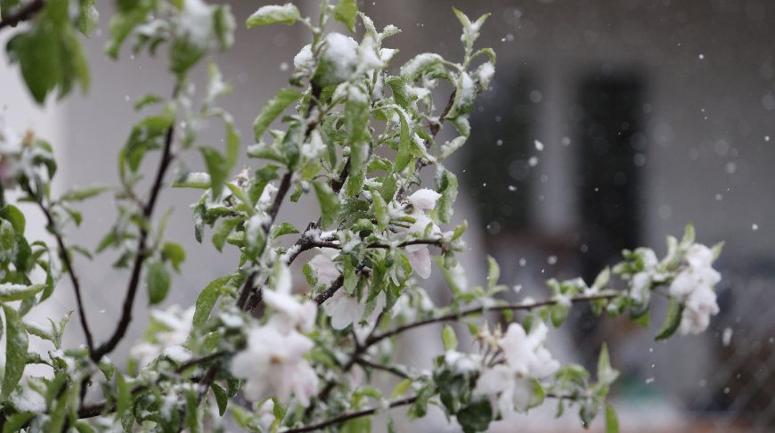 Click to enlarge SNOW