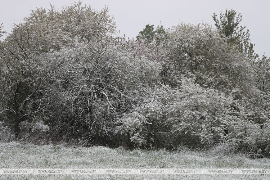 Click to enlarge SNOW