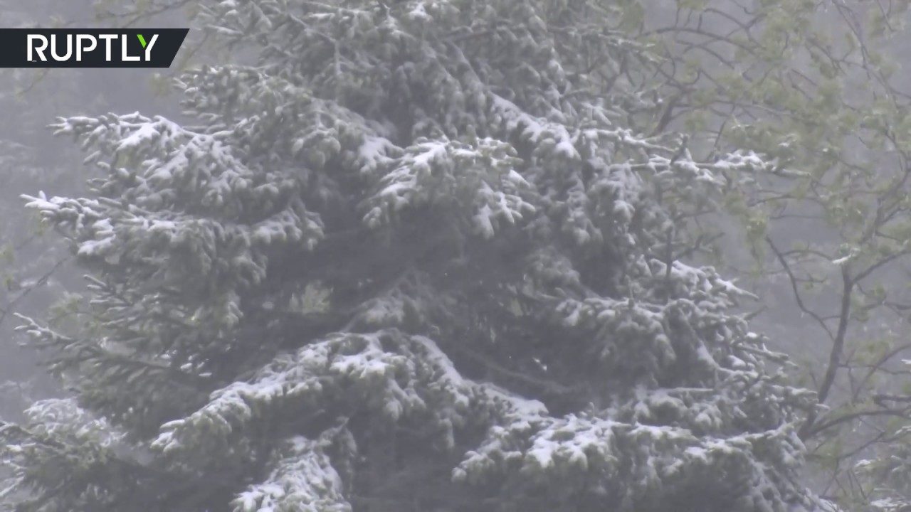 snow