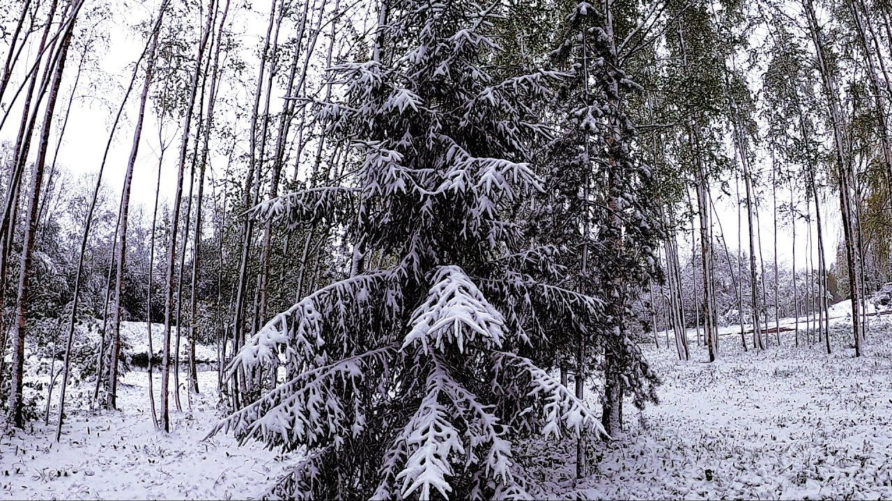 snow