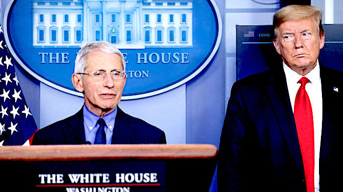 Click to enlarge trumpfauci