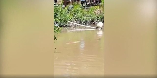 Click to enlarge The teen’s body was seen floating in the river after the attack.