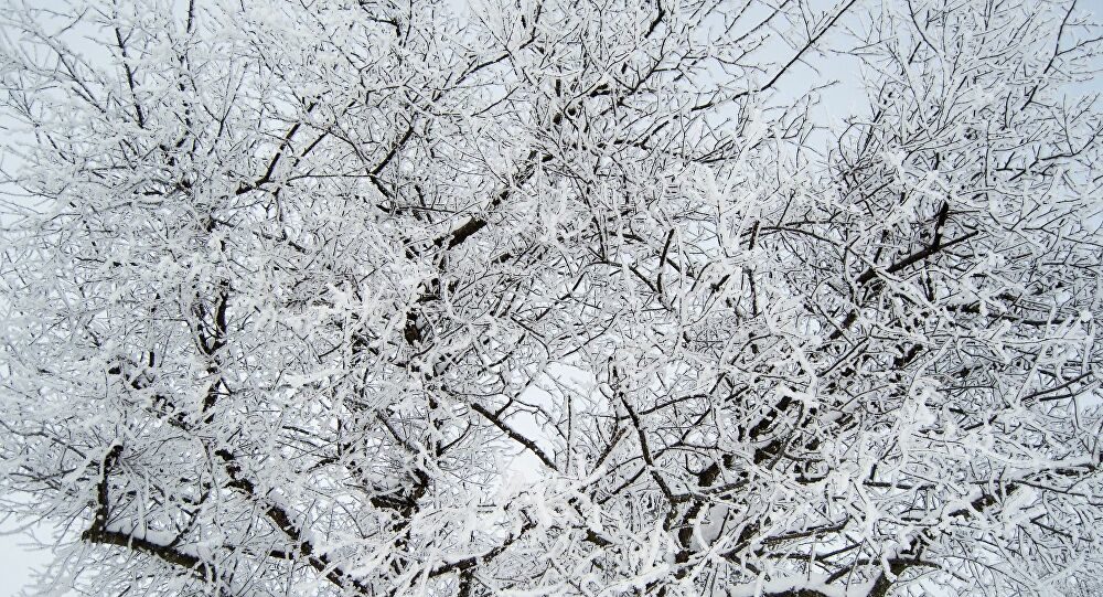 Click to enlarge snow