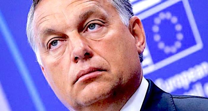 Click to enlarge Orban