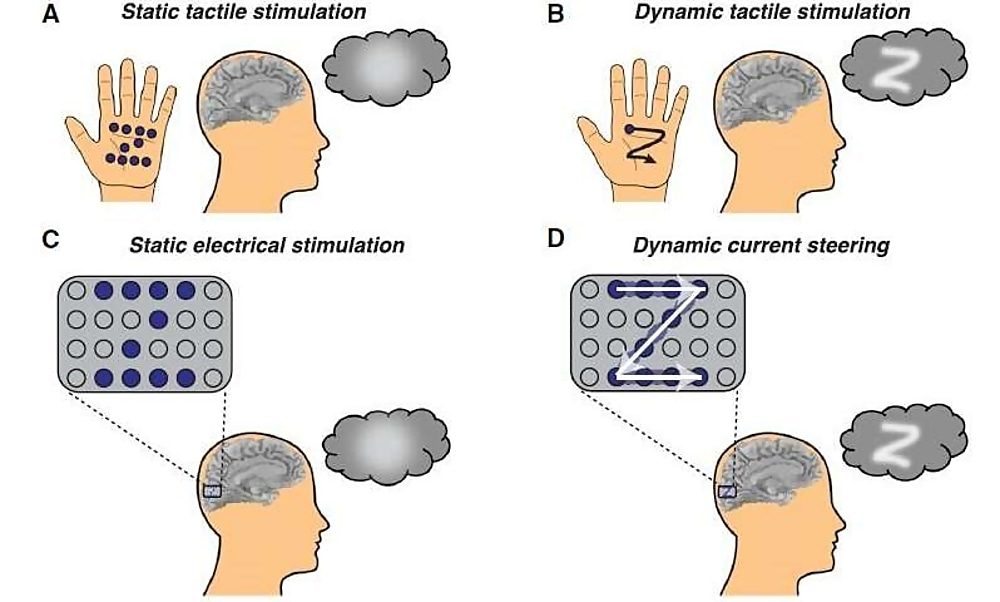 dynamic stimulation  visual cortex