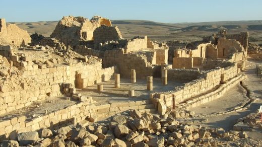 Click to enlarge Negev