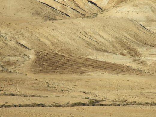 Shivta