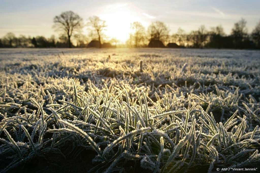 Click to enlarge frost
