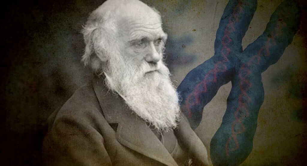 Charles Darwin, chromosomes