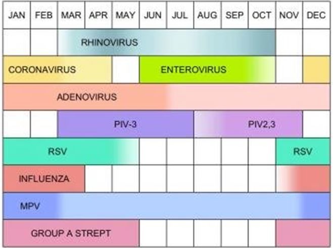 coronavirus family