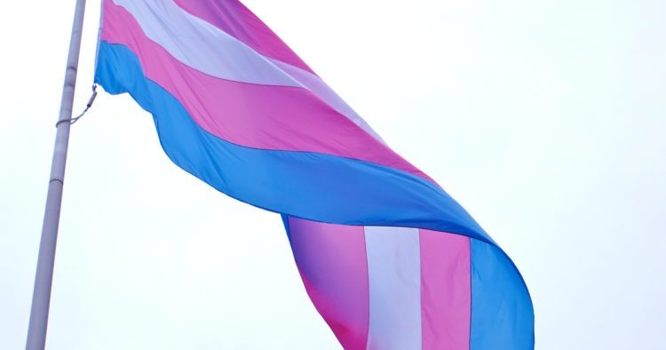 rainbow flag