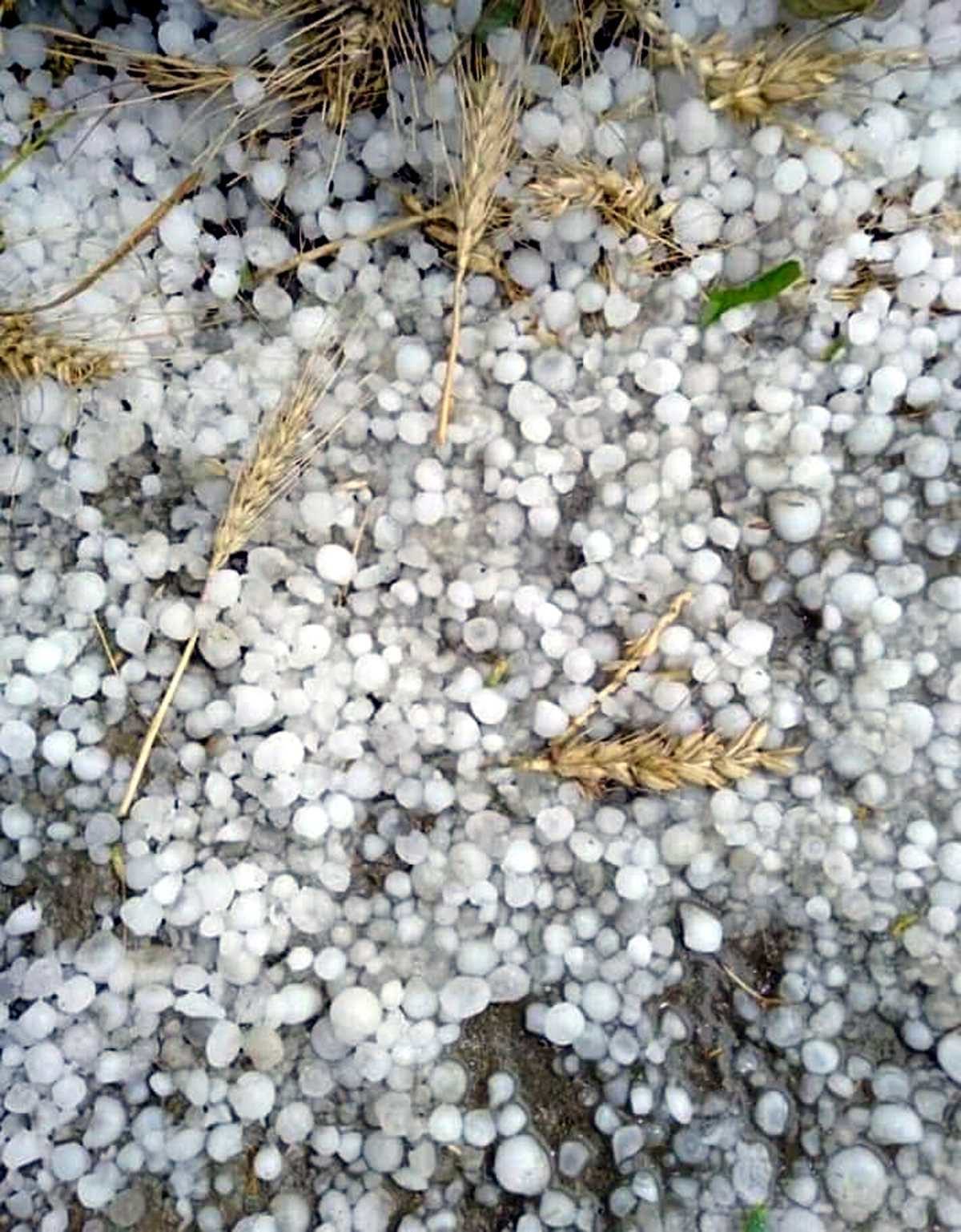 Click to enlarge hail
