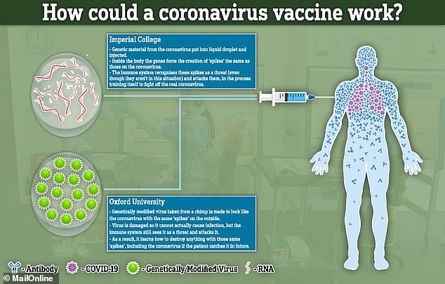 how does coronavirus vaccine work