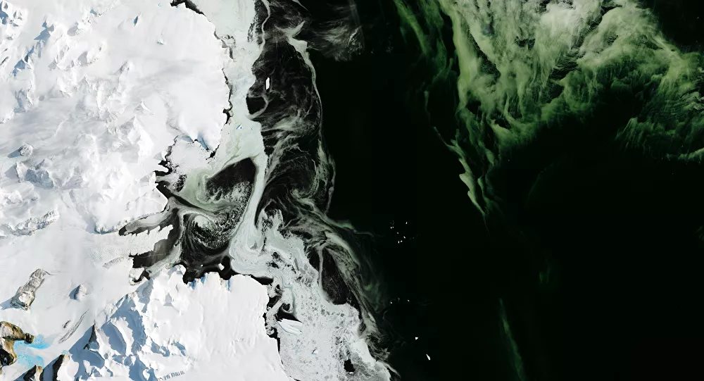 Click to enlarge algae bloom antartica