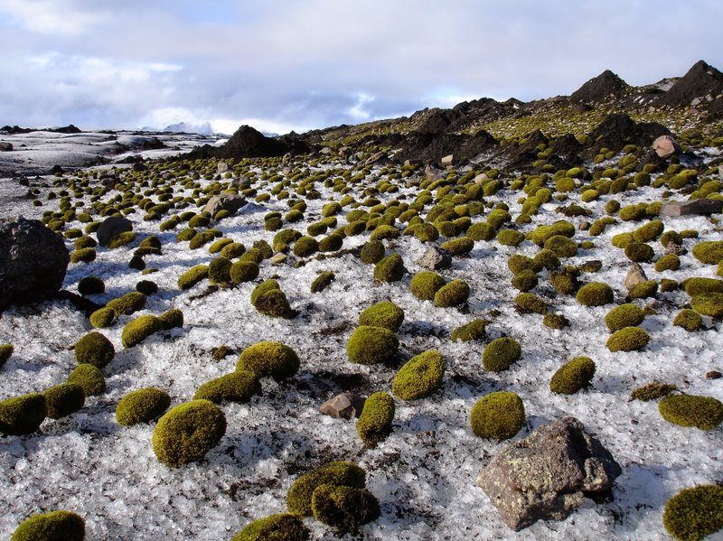 Click to enlarge Iceland