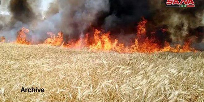 field burn