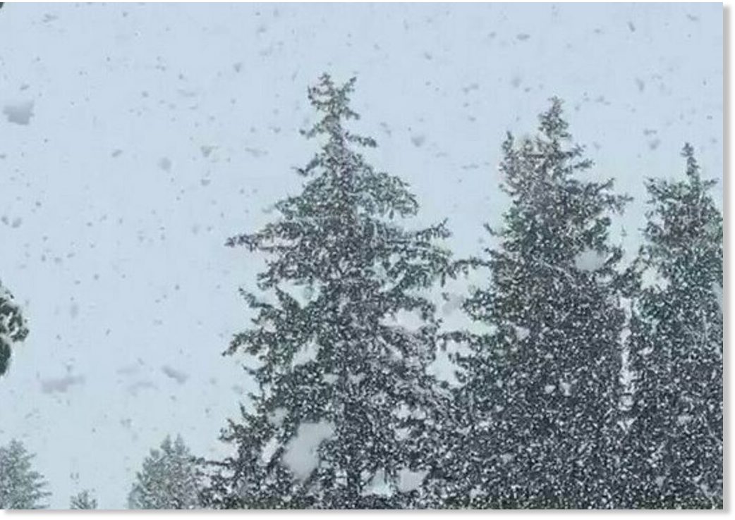 Record late May snowfall hits Idaho Falls up to 4 inches Earth